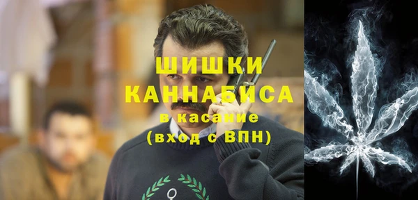 стаф Пересвет