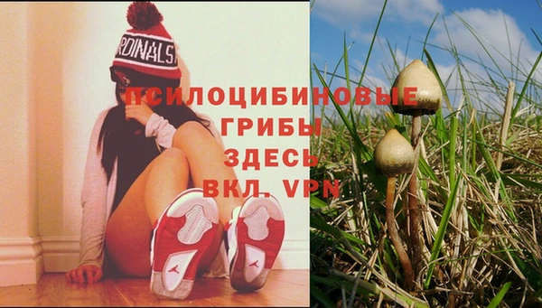 сатива Пестово