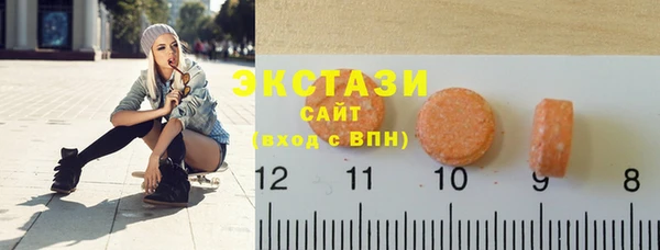 стаф Пересвет