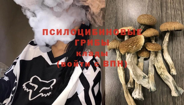 винт Переславль-Залесский