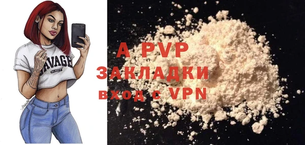 a pvp Белокуриха