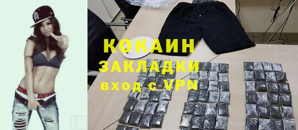 стаф Пересвет