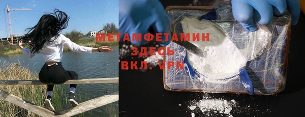 прущие грибы Болотное
