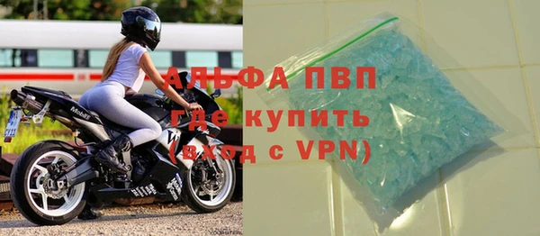 стаф Пересвет